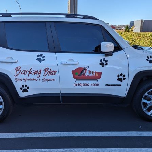 Vehicle Graphics